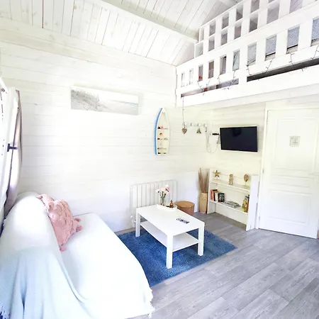 Cosy, Plages A Pieds. Morbihan. *